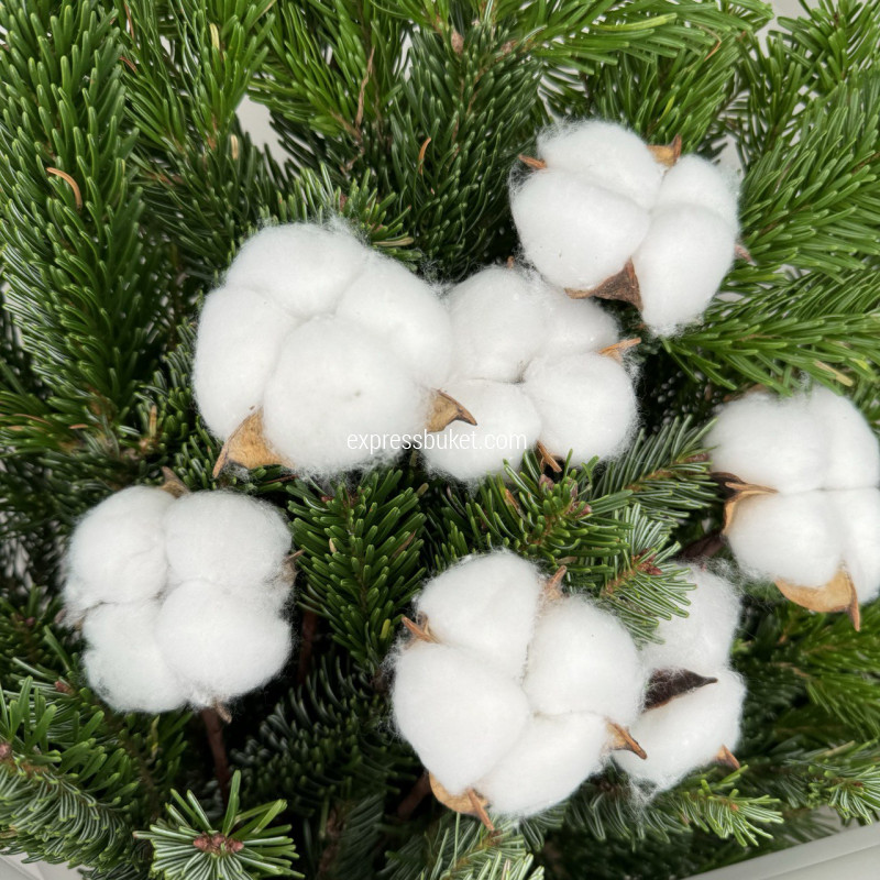 Новогодний бриз