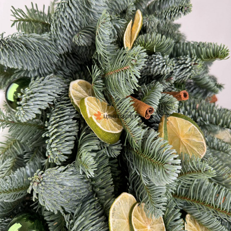 Грандиозная зима