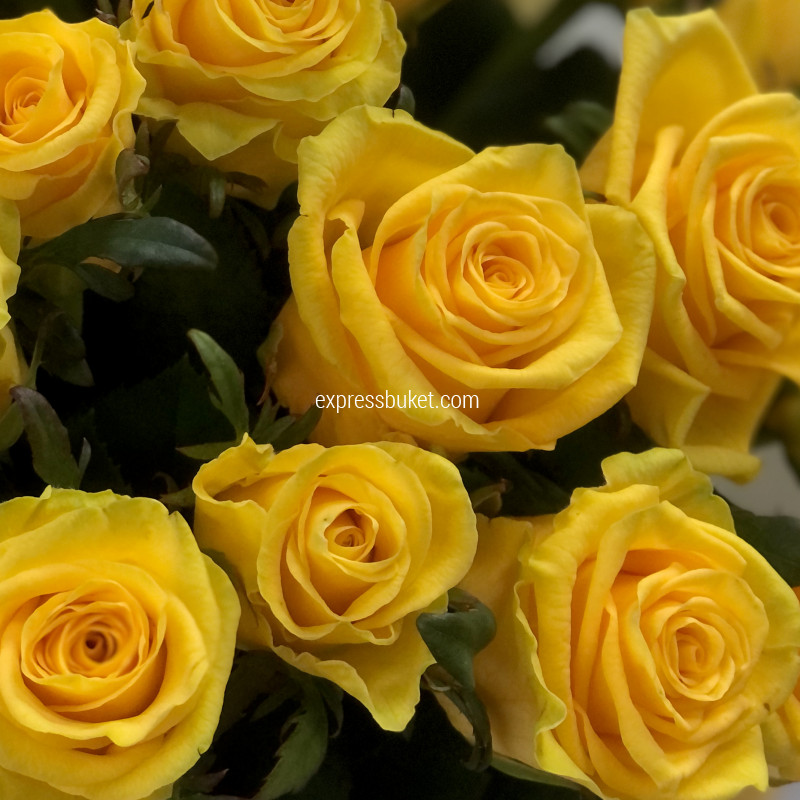 Букет из 25 желтых роз Ол Райт